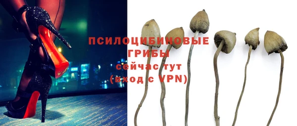 метадон Заводоуковск