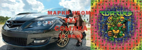 ПСИЛОЦИБИНОВЫЕ ГРИБЫ Аркадак