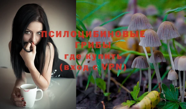 дурь Арсеньев