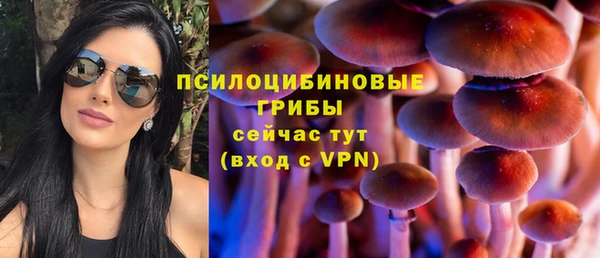 твердый Армянск