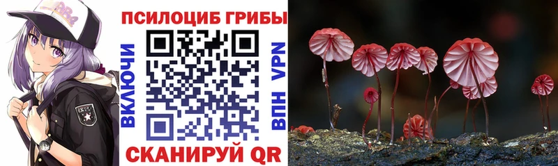 мега зеркало  наркотики  Советский  Псилоцибиновые грибы Magic Shrooms 